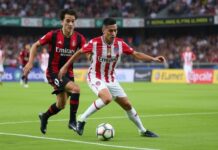 Fortaleza x Flamengo: Palpites Brasileirão 2025