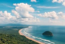 Internacional perde para o Bahia e volta a flertar com a zona de rebaixamento News