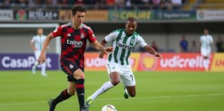 Mirassol recebe Flamengo e Palmeiras na reta final da Série A e esquenta a disputa News