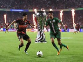 Conmebol autoriza festas de Flamengo e Palmeiras na final da Libertadores News